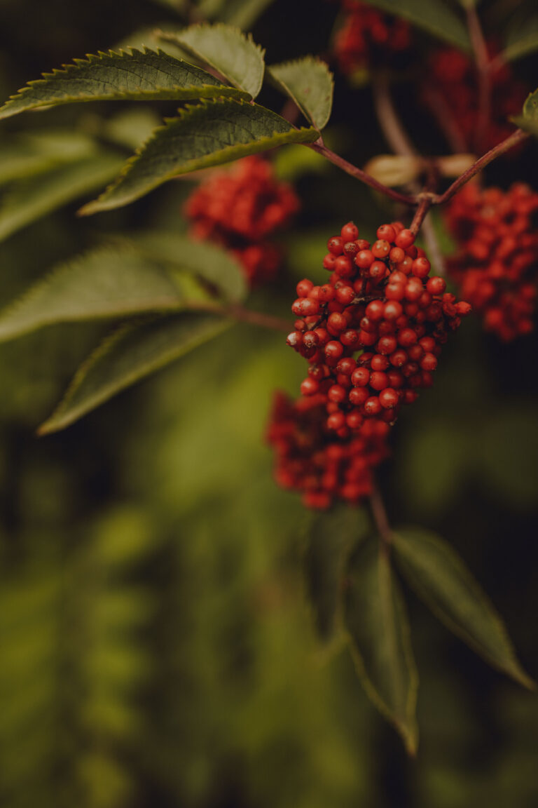 2021-07-11_185201_untitled